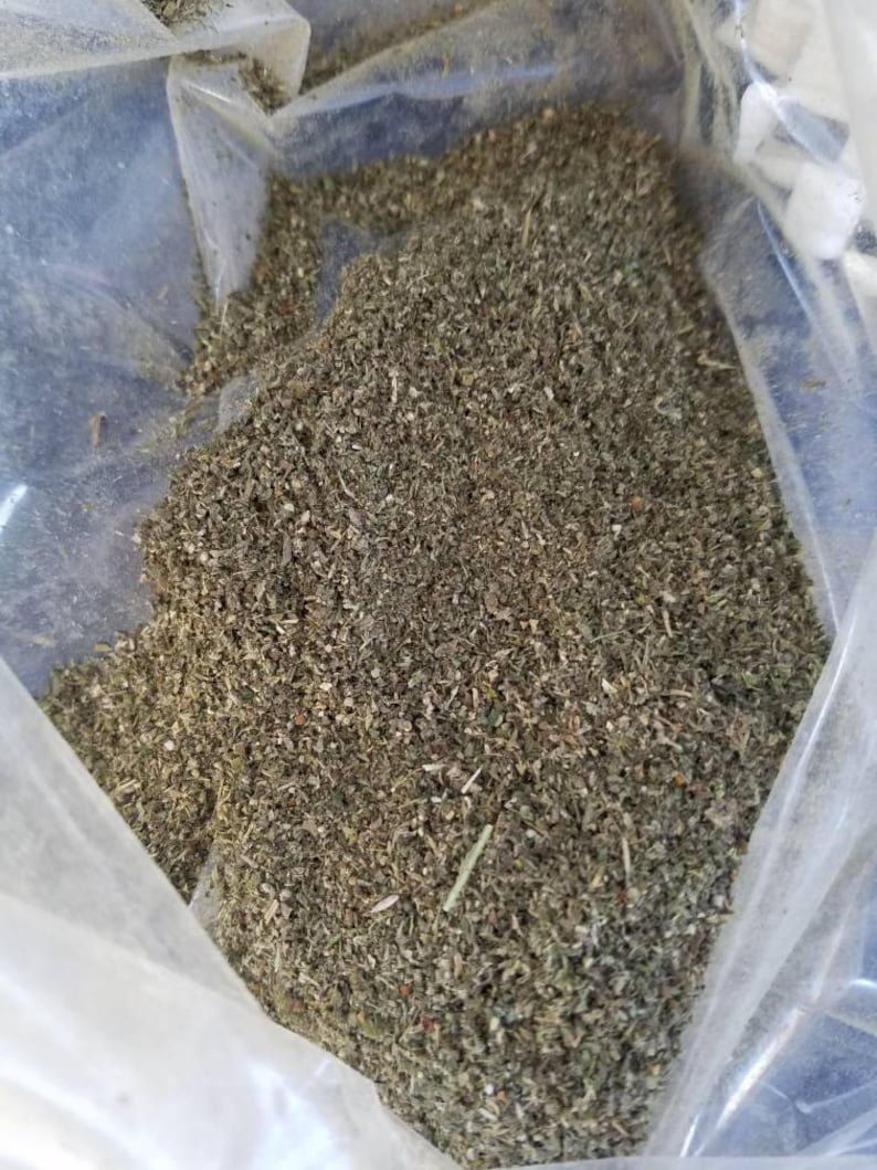 Bulk Fresh Catnip 100 Natural From Canada Great Prices Please Etsy