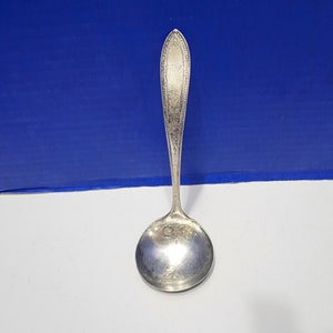 Antique Silverplate Ladle Ornate Floral Pattern
