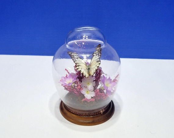 Vintage Butterfly Specimen Inside Glass Globe Purple Floral Centerpiece