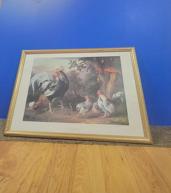 Vintage Large Framed Art Print of Poultry and Other Birds by Jacob Bogdany 30 x 22