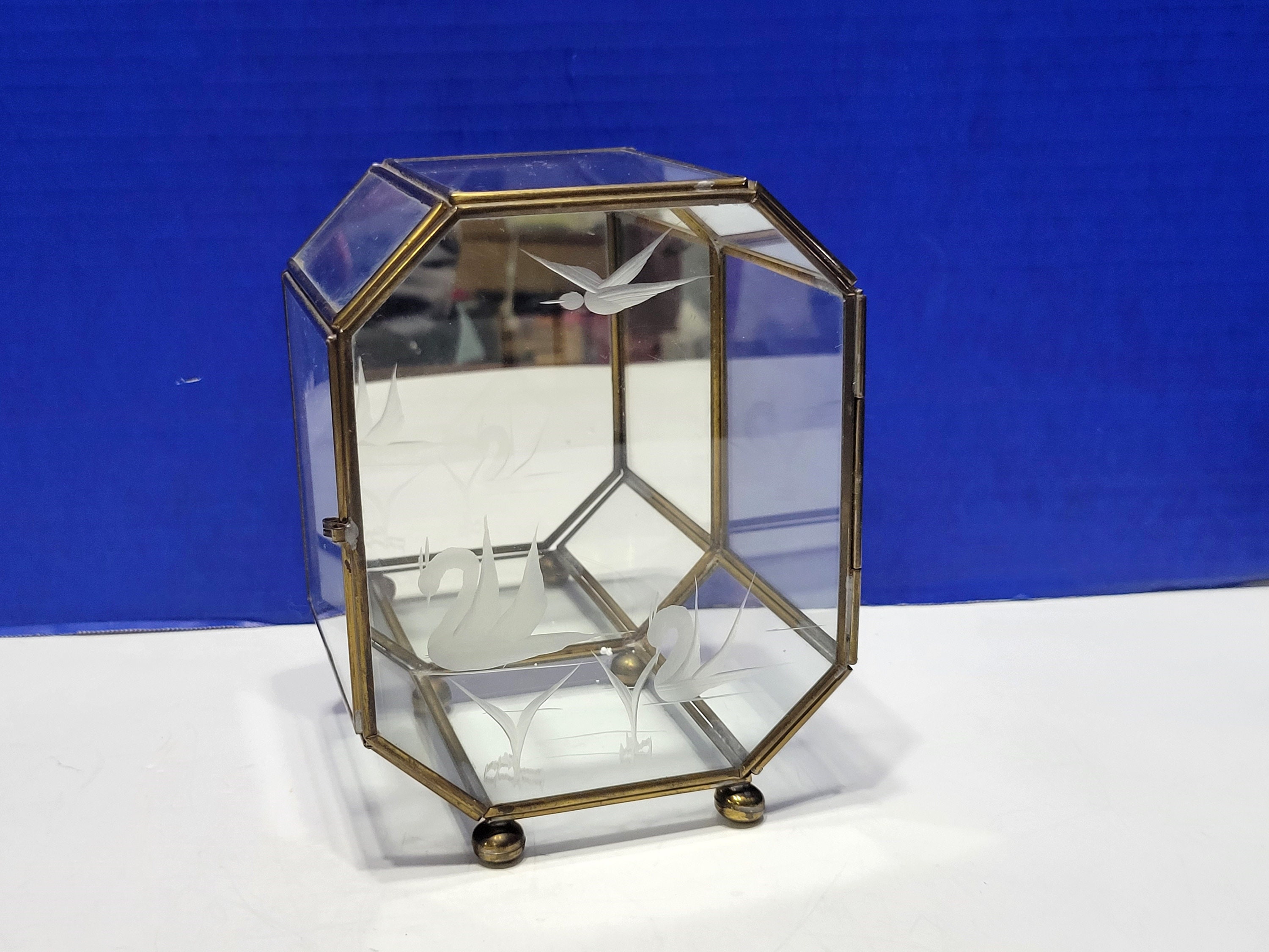 Octagon cheap display case