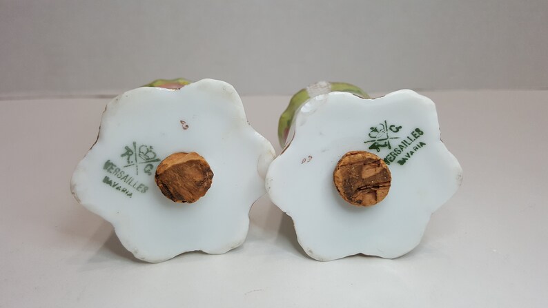 Vintage R C Versailles Bavaria Floral Salt and Pepper Shakers