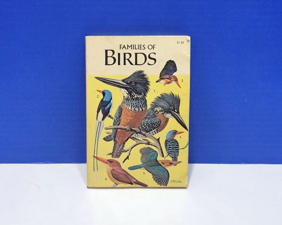1971 Families of Birds Paperback Book with Illustrations