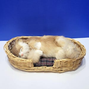 May include: A plush, sleeping cat with tan and white fur rests in a woven wicker basket. The cat is curled up on a small, plaid pillow inside the basket, creating a cozy and inviting scene.