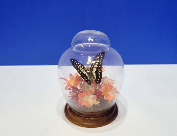 Vintage Butterfly Specimen Inside Glass Globe Pink Floral Centerpiece