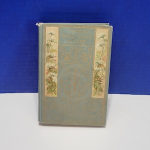 Vintage Things Will Take A Turn, A Story for Children Antique Book