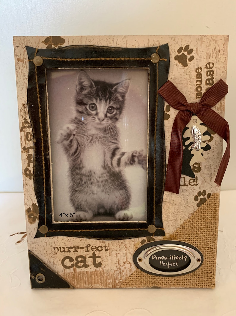 Paws-Itively* Perfect Cat Wood With Leather Trim* Picture Frame* 9T X 7W