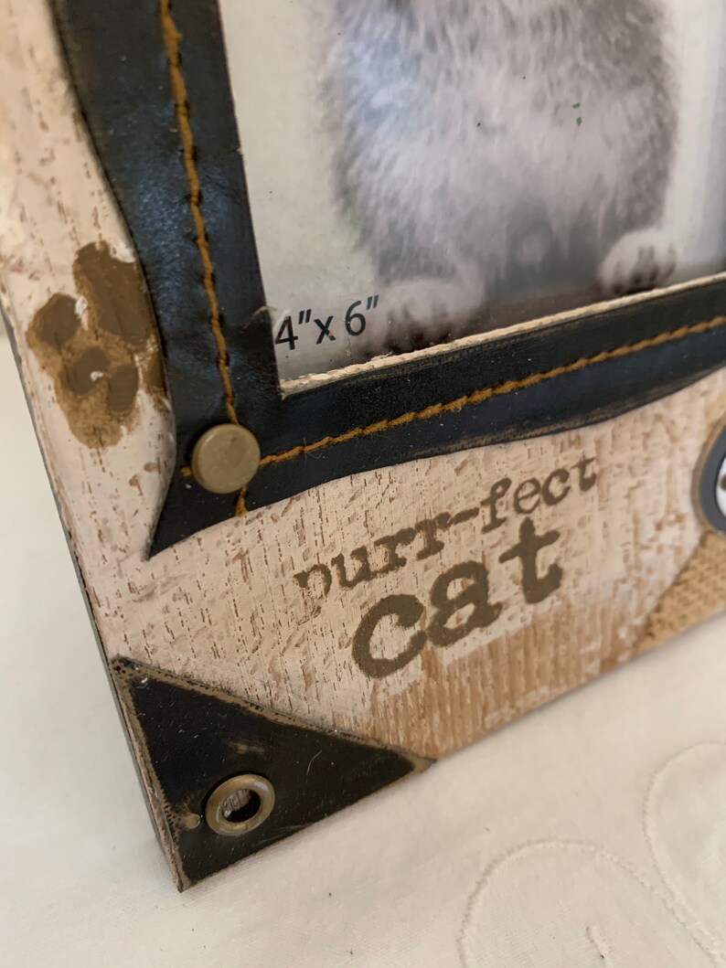 Paws-Itively* Perfect Cat Wood With Leather Trim* Picture Frame* 9T X 7W
