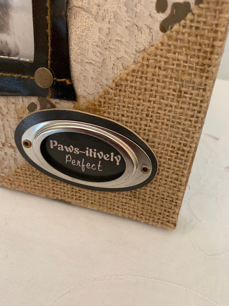 Paws-Itively* Perfect Cat Wood With Leather Trim* Picture Frame* 9T X 7W