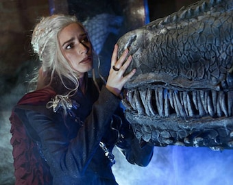 Cosonsen Game of Thrones 8 Daenerys Targaryen Cosplay Costume Snow Dress lot Cosonsen Game of Thrones 8 Daenerys Targaryen Cosplay Costume Snow Dress lot
