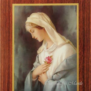 Virgin Mary ~ Mystical Rose Rosa Mystica - 7&quot;x9&quot; Catholic Print Picture from Italy
