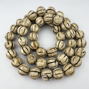 Vintage Naga Chank Conch Shell Beads. TB-6215-A