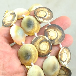 May include: A strand of round, flat, shell beads with a white, brown, and yellow colour pattern. The beads are strung on a white cord.