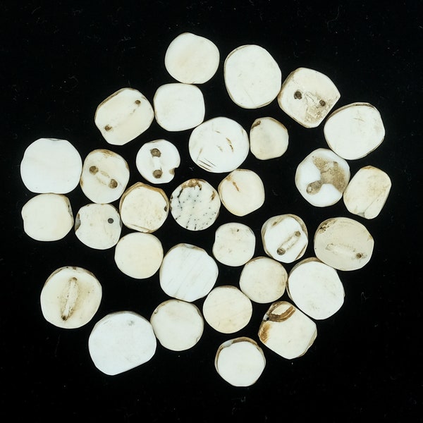 Old Naga Shell Beads. antique Naga Chank Shell Buttons. TB-2188
