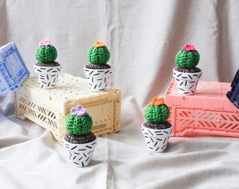 Crochet Cactus - Hand-Painted Pot