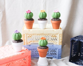 Crochet Cactus - Mini
