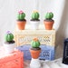 see more listings in the Mini Cacti section