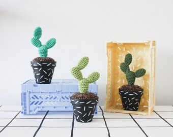 Crochet Cactus - Hand-painted Pot