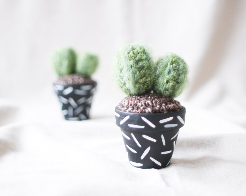 Crochet Cactus Hand-painted Pot image 1