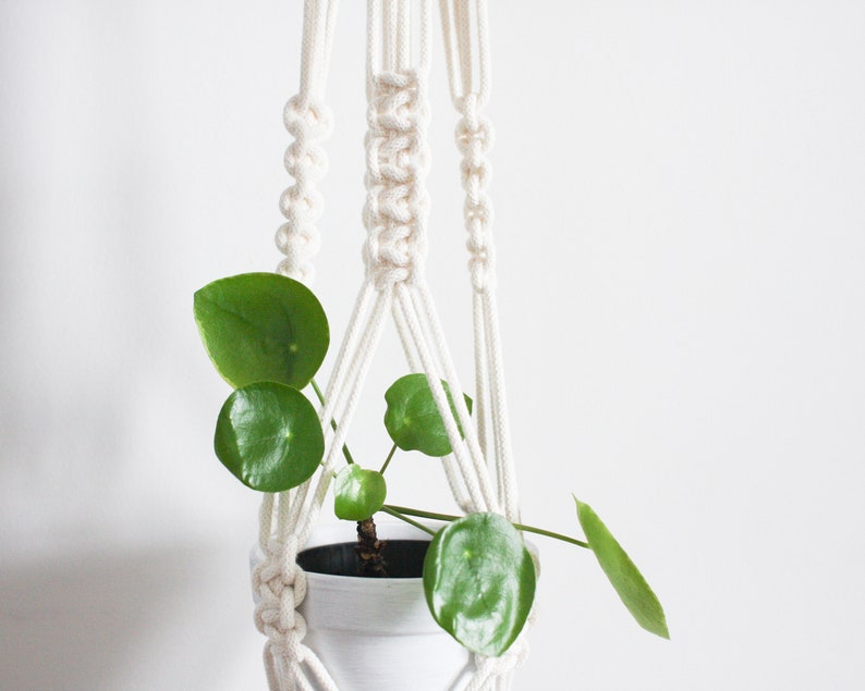 Green and Lilac Macrame Plant Hanger