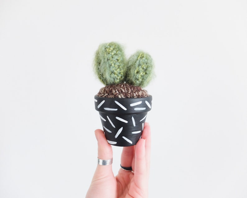 Crochet Cactus Hand-painted Pot image 5