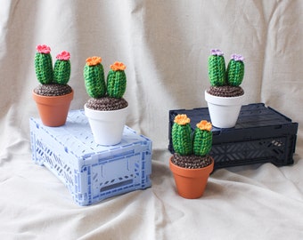 Crochet Cactus