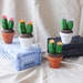 see more listings in the Medium Cacti section