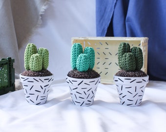 Crochet Cactus - Hand-painted Pot