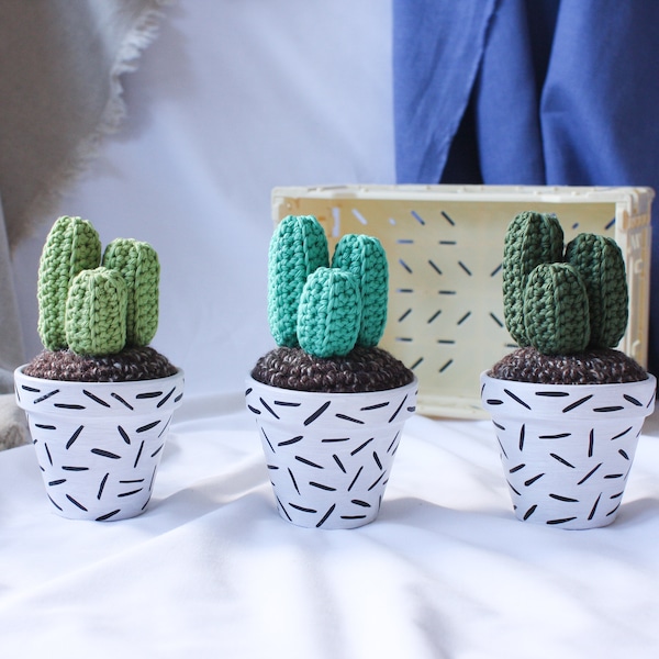 Crochet Cactus - Hand-painted Pot