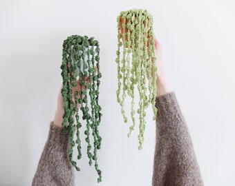 Crochet String of Pearls - Trailing Plant
