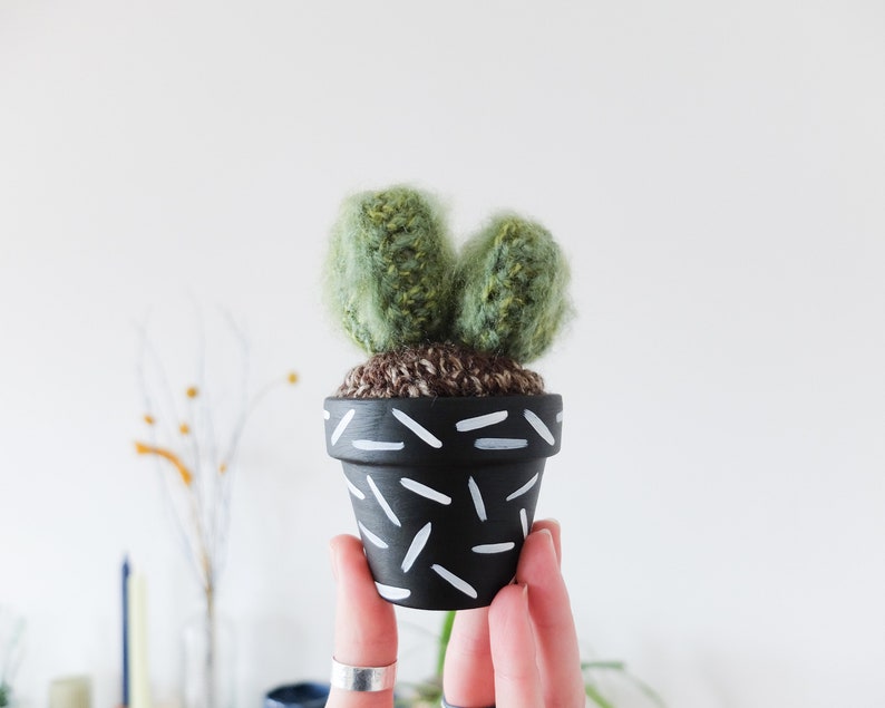 Crochet Cactus Hand-painted Pot image 4