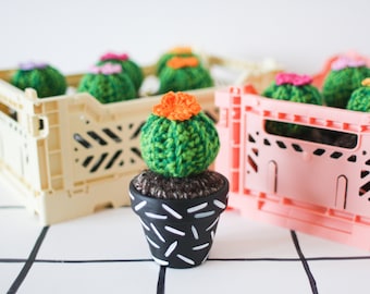 Crochet Cactus - Hand-painted Pot