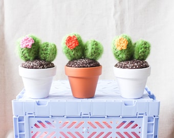 Crochet Cactus - Mini