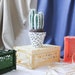 see more listings in the Large Cacti section