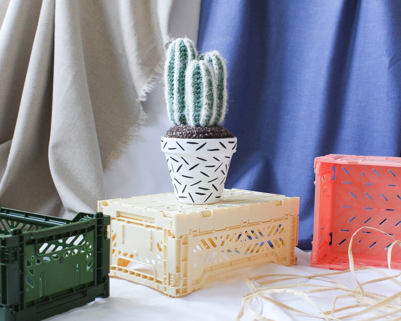 Crochet Cactus Hand-painted Pot image 1
