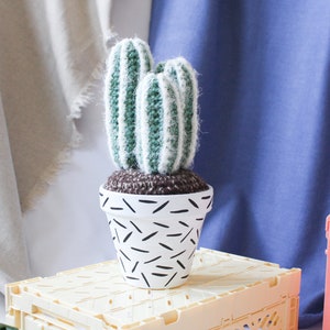 Crochet Cactus Hand-painted Pot image 2