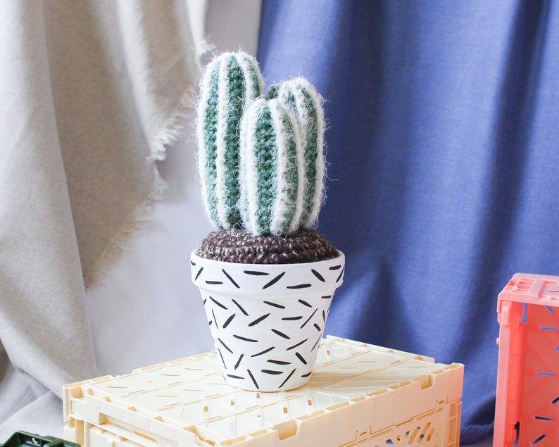 Crochet Cactus Hand-painted Pot image 2