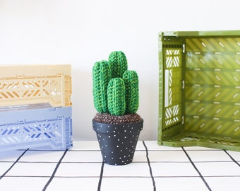 Crochet Cactus - Large - Hand-painted Pot