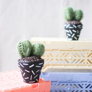 Crochet Cactus Hand-painted Pot image 3