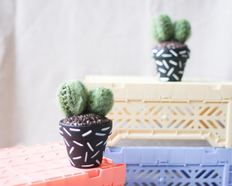 Crochet Cactus Hand-painted Pot image 3