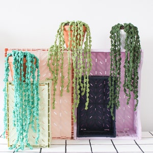 May include: Four potted plants with long, trailing stems hanging from a set of pink, green and black plastic crates. The plants are all the same type, with small, round leaves.
