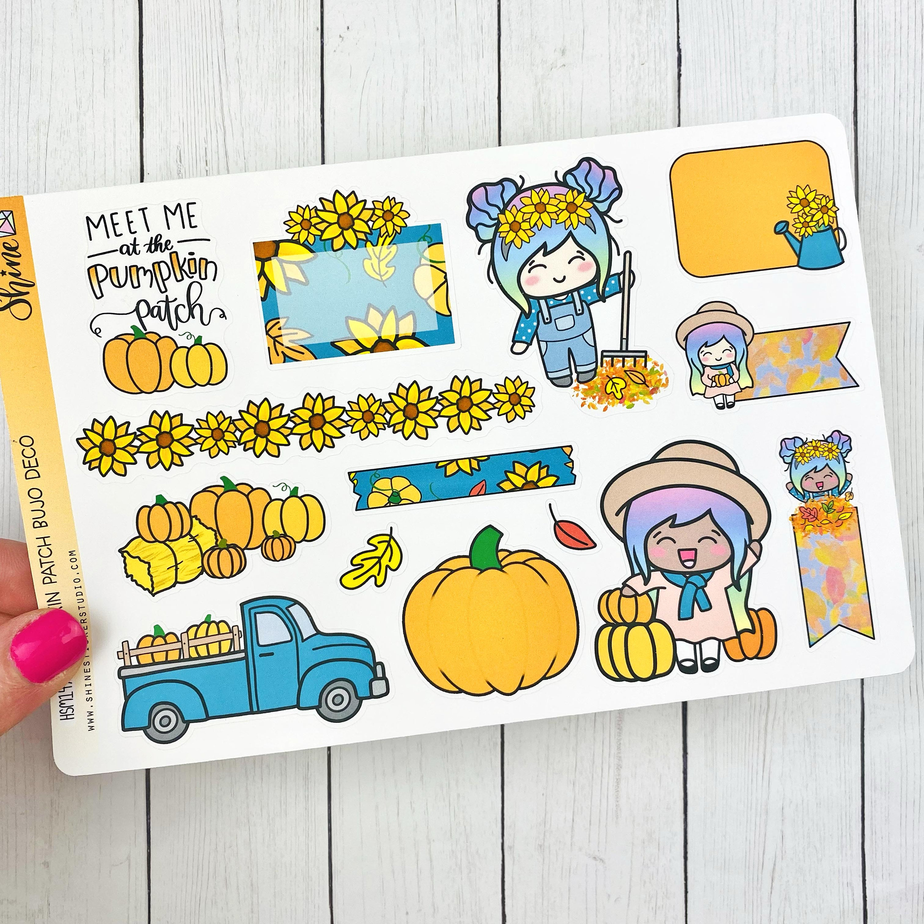 Pumpkin Patch Bujo Deco Stickers - Planner Stickers Recollections Happy ...