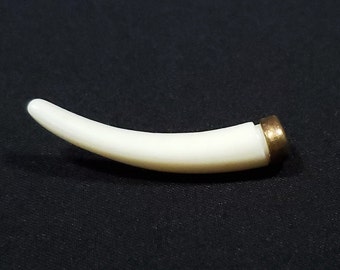 May include: A white, curved, decorative object with a gold metal cap on one end.