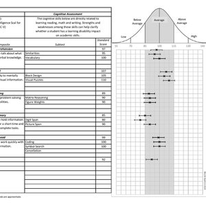 WISC-V Chart - für PC Excel