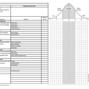 Wisc Graph WISC-V Chart - for PC Excel - Etsy
