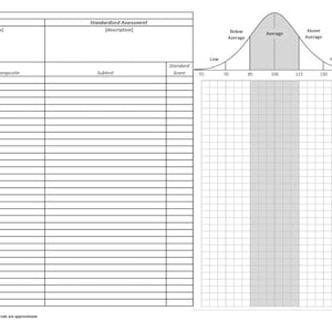 Gestandaardiseerd beoordelingsschema - voor Excel