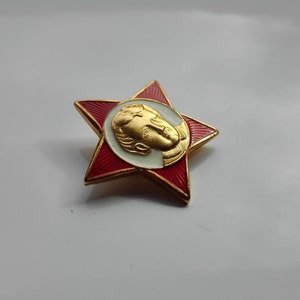 K&ouml;nnte beinhalten: Ein rot-goldener sternf&ouml;rmiger Anstecker mit einem zentralen Medaillon, das ein goldenes Profil auf wei&szlig;-goldenem Hintergrund zeigt. Der Anstecker hat einen goldenen Rand und eine rote Emaille-Oberfl&auml;che.