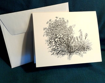 Hummingbird Garden Notecards with envelopes, blank inside.