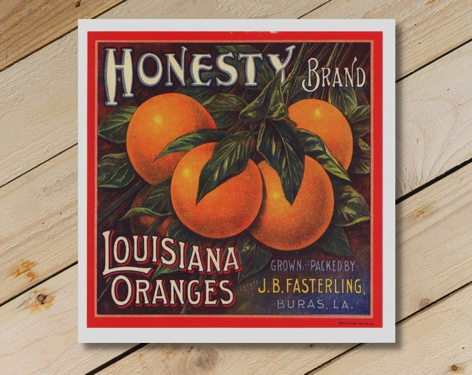 Vintage Honesty Orange Print: Antique Fruit Label Reproduction