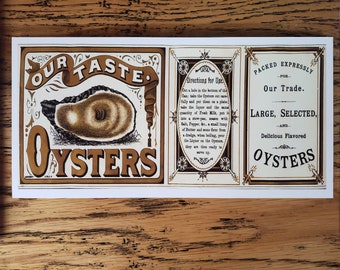 Our Taste Oysters